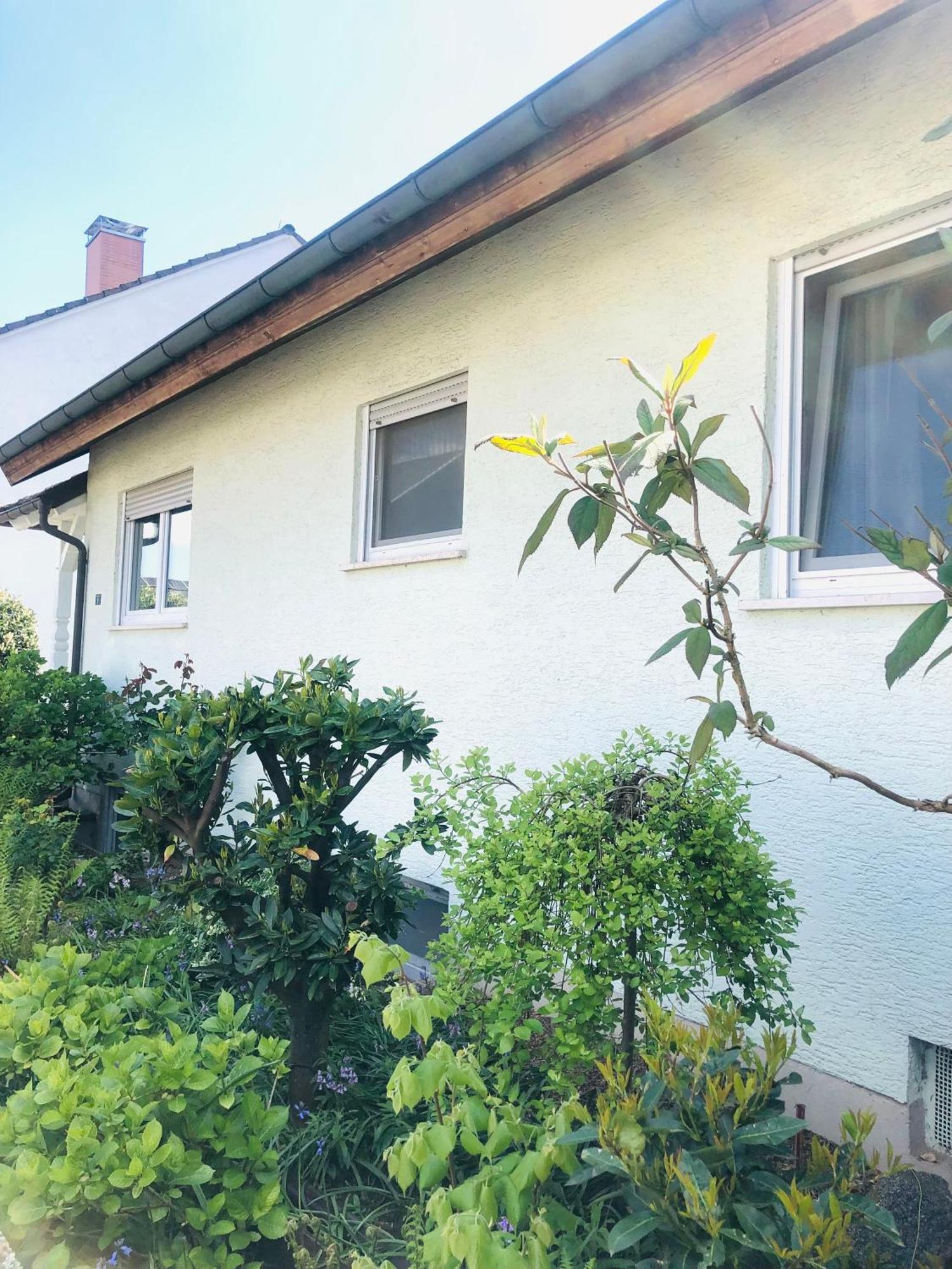 Ferienwohnung Feldmann Freckenfeld Екстер'єр фото